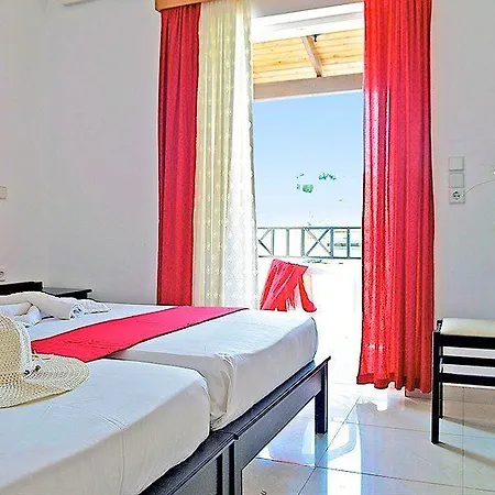 Lilium 3*